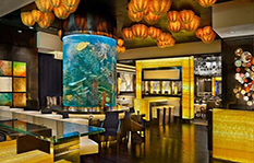 Atlantis Steakhouse lounge thumbnail