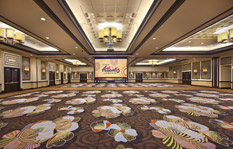 Grand Ballroom with screen down thumbnail